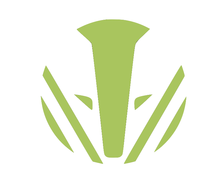 Badger Logo